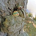 Das Geheimnis des Glücks: Wie Menschen mit Depressionen glücklich werden.